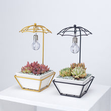 Load image into Gallery viewer, Umbrella-shaped iron flower pot
