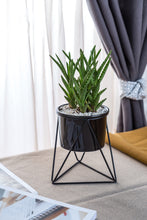 Load image into Gallery viewer, Green Plant Ceramic Iron Frame Flower Pot
