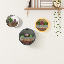 Load image into Gallery viewer, Round Iron Wall Vase Home Living Room Restaurant Hanging Basket Flower Pot Wall Decor Succulent Plant Planters Art Glass Vases
