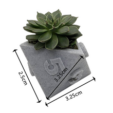 Load image into Gallery viewer, 3D Printed Plant Pot Table Top RPG Dice Succulent Planter Set Home Decoration Multifunction Garden Flower Pot
