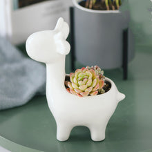 Load image into Gallery viewer, Succulent ceramic flowerpot
