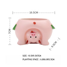 Load image into Gallery viewer, Come and see the world's succulent plant pots
