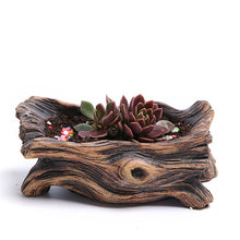 Load image into Gallery viewer, Cement root carving succulent flower pot
