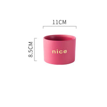 Load image into Gallery viewer, Creative Personality Iron Ceramic Flowerpot

