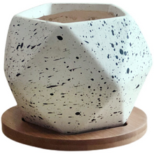 Load image into Gallery viewer, Nordic Succulent Flower Pot Ceramic Tray Creative Personality
