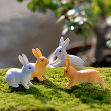 Load image into Gallery viewer, Moss Micro Landscape Decoration DIY Assembly

