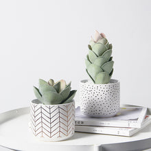 Load image into Gallery viewer, Modern And Simple Ceramic Flower Pots Home Fashion Green Planting Pots
