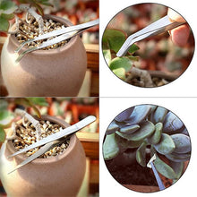 Load image into Gallery viewer, Succulents Potted Gardening Tool Set Succulent Seedlings Spray Bottle Watering Pot Soil Shovel Potted Trim Tube Shovel
