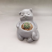 Load image into Gallery viewer, Succulents Handmade Cement Plant Creative Flower Pot
