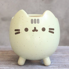 Load image into Gallery viewer, Succulent Flower Pot Cute Cat Animal Cartoon
