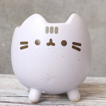 Load image into Gallery viewer, Succulent Flower Pot Cute Cat Animal Cartoon
