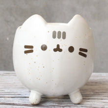 Load image into Gallery viewer, Succulent Flower Pot Cute Cat Animal Cartoon
