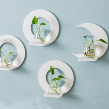 Load image into Gallery viewer, Creative Wall Hanging Wall Hydroponic Vase Hanging Transparent Flower Pot
