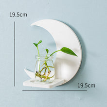 Load image into Gallery viewer, Creative Wall Hanging Wall Hydroponic Vase Hanging Transparent Flower Pot
