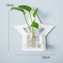 Load image into Gallery viewer, Creative Wall Hanging Wall Hydroponic Vase Hanging Transparent Flower Pot
