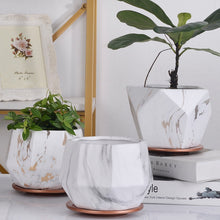 Load image into Gallery viewer, Ceramic Flower Pot Indoor Chlorophytum Green Radish Succulent Breathable Flower Pot
