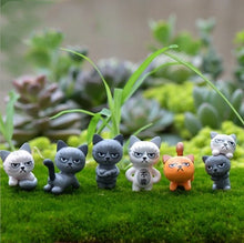 Load image into Gallery viewer, Moss Micro Llandscape Ornaments Bonsai Succulents Flower Pot
