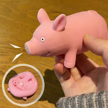 Load image into Gallery viewer, Stretch Pinch Restore Relieve Stress Toys

