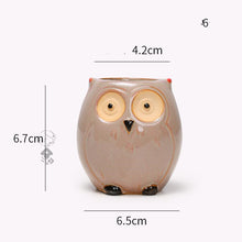 Load image into Gallery viewer, Creative Simple Succulent Owl Flower Pot
