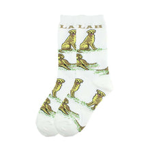 Load image into Gallery viewer, New cute animal collection socks trend
