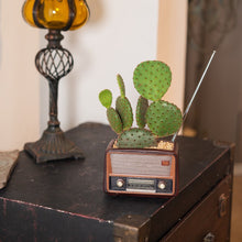 Load image into Gallery viewer, Creative Retro Radio Shape Ornament Flower Pot
