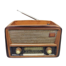 Load image into Gallery viewer, Creative Retro Radio Shape Ornament Flower Pot
