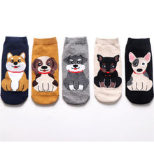 Load image into Gallery viewer, Calcetines Beagles - Beagle Socks
