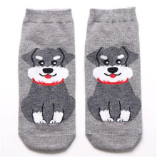 Load image into Gallery viewer, Calcetines Beagles - Beagle Socks
