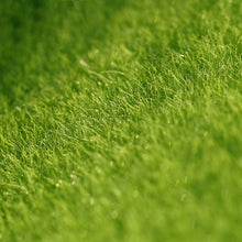 Load image into Gallery viewer, Creative Home Accessories Simulation Moss Turf Lawn
