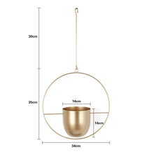 Load image into Gallery viewer, Hanging Iron Flower Pot Nordic Style Simple Creative Hydroponic Plant Potted Decoration Light Luxury Personalized Hanging Orchid
