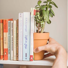 Load image into Gallery viewer, Creative Plastic Office Bookend Flower Pot

