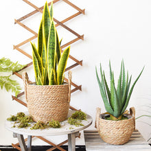 Load image into Gallery viewer, Hand-Woven Straw Basket Flower Pot
