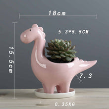 Load image into Gallery viewer, Wholesale Horticultural Cross-border Creative Succulent Flowerpots
