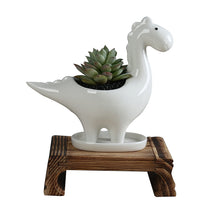 Load image into Gallery viewer, Wholesale Horticultural Cross-border Creative Succulent Flowerpots
