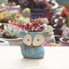 Load image into Gallery viewer, Creative Thumb Pot Fox Cartoon Ceramic Flower Pot Succulent Plant Pot Stoneware Breathable Pottery Basin Garden Decoration
