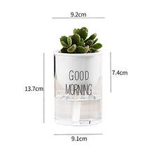 Load image into Gallery viewer, Succulent Flower Ceramic Pot Hydroponic Nordic Style Green Radish Self-Absorbent Glass Flower Pot Decoration New
