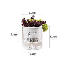 Load image into Gallery viewer, Succulent Flower Ceramic Pot Hydroponic Nordic Style Green Radish Self-Absorbent Glass Flower Pot Decoration New
