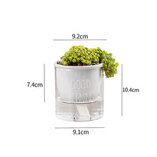 Load image into Gallery viewer, Succulent Flower Ceramic Pot Hydroponic Nordic Style Green Radish Self-Absorbent Glass Flower Pot Decoration New
