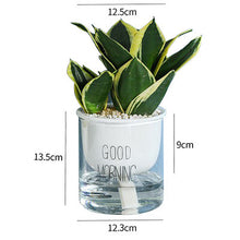 Load image into Gallery viewer, Succulent Flower Ceramic Pot Hydroponic Nordic Style Green Radish Self-Absorbent Glass Flower Pot Decoration New
