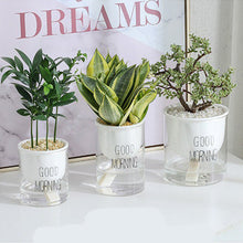 Load image into Gallery viewer, Succulent Flower Ceramic Pot Hydroponic Nordic Style Green Radish Self-Absorbent Glass Flower Pot Decoration New
