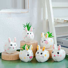 Load image into Gallery viewer, 1PC Creative Cartoon Animal Ceramics Plant Pots Mini Flower Pot
