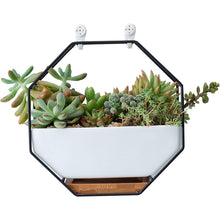 Load image into Gallery viewer, Nordic Minimalist Creative Geometric Wrought Iron Metal Bracket Ceramic Flower Pot Set Succulents Green Plants Potted Ornaments
