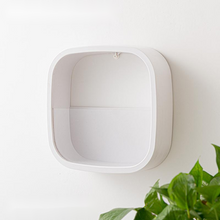 Load image into Gallery viewer, Flower Pot Wall-mounted Radish Copper Money Grass Wall-mounted
