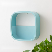 Load image into Gallery viewer, Flower Pot Wall-mounted Radish Copper Money Grass Wall-mounted
