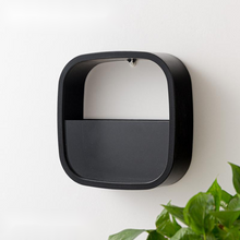 Load image into Gallery viewer, Flower Pot Wall-mounted Radish Copper Money Grass Wall-mounted
