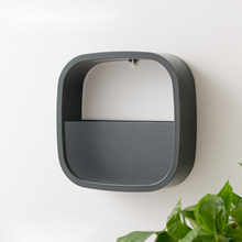 Load image into Gallery viewer, Flower Pot Wall-mounted Radish Copper Money Grass Wall-mounted
