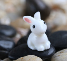 Load image into Gallery viewer, Micro-landscape Resin Animal Landscaping DIY Decoration
