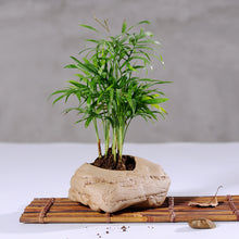 Load image into Gallery viewer, Succulent Flower Pots Imitation Stone Ceramic Potted Flower Pots

