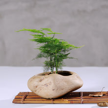 Load image into Gallery viewer, Succulent Flower Pots Imitation Stone Ceramic Potted Flower Pots
