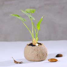 Load image into Gallery viewer, Succulent Flower Pots Imitation Stone Ceramic Potted Flower Pots
